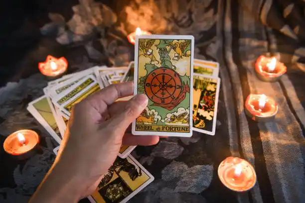 tarot cards Logan Elm Village